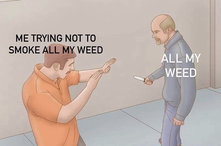 stonersvilla's tweet image. 