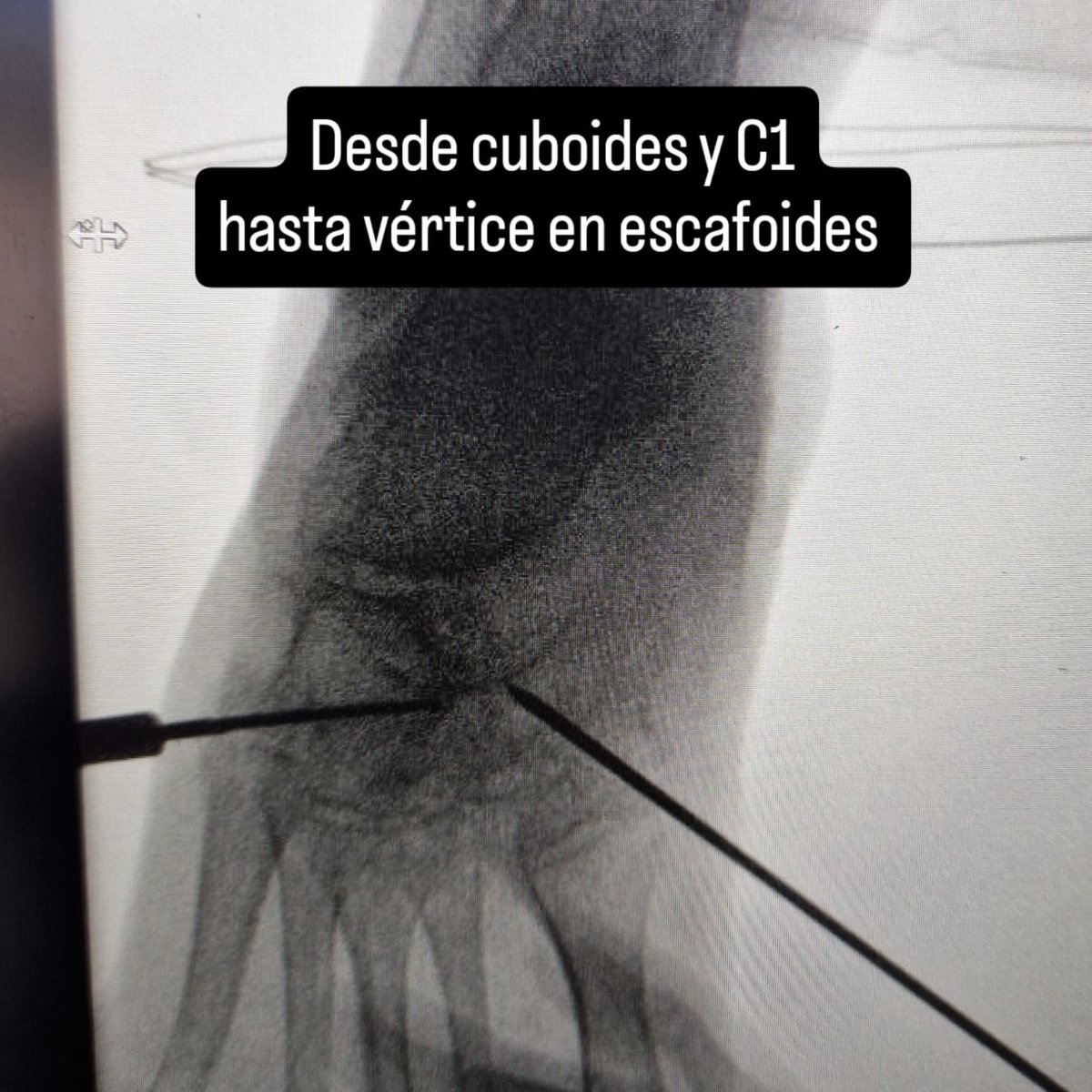 Aldara Rodríguez Garzón tweet media