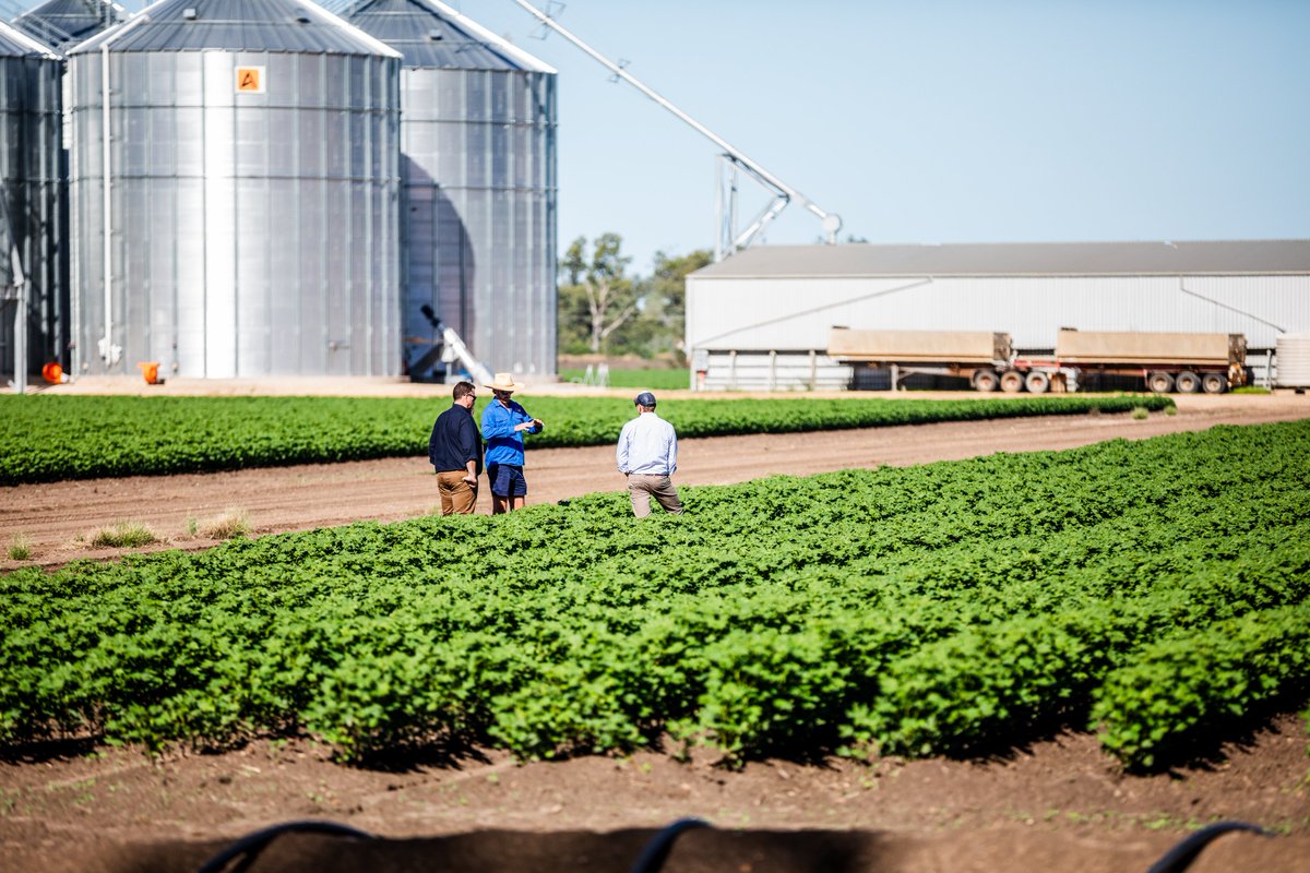 Bringing cottonseed oil and feed production closer to home! Our upgraded Narrabri facility cuts imports and boosts local supply chains—supporting economies and communities.  Watch: bit.ly/CottonCrushNar….  Learn more: bit.ly/CottonCrushInv….