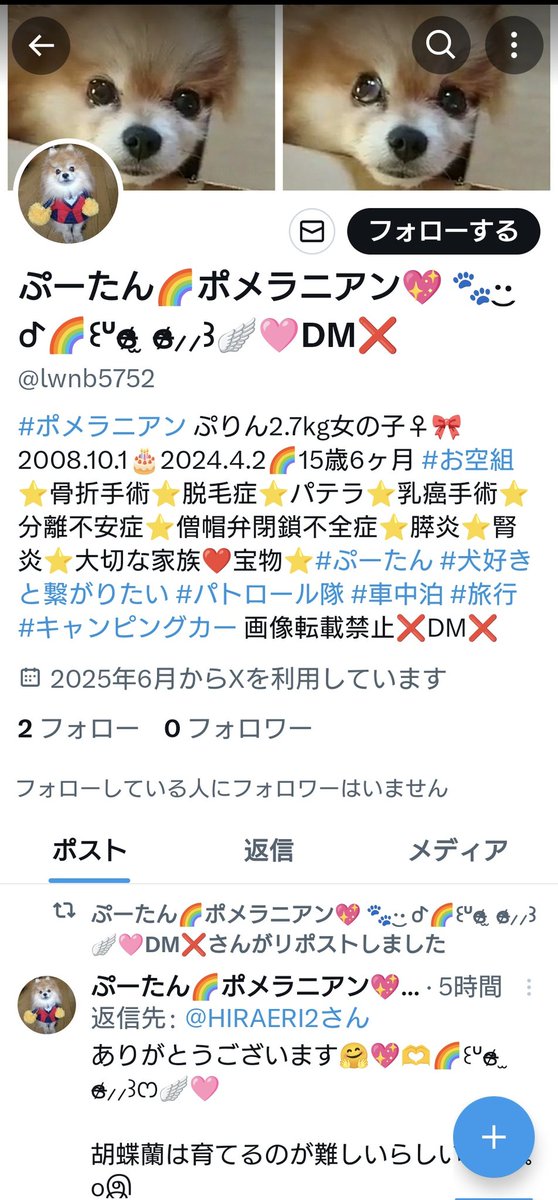 大切な #ぷーたん の垢なのに悲しい😭😭

なりすましアカウントの被害を受けてます😭😭🚨

Twitter(🆇)のぷーたんのアカウントはこれ1つだけです
絶対にフォローしないでください🙏

どうか【通報】のご協力を宜しくお願いします🙏🙇🏻‍♀️

なりすましアカウント➡<a href="/lwnb5752/">ぷーたん🌈ポメラニアン💖 🐾·͜· ᕷ🌈꒰ᐡɞ̴̶̷ ̫ ɞ̴̶̷⸝⸝꒱🪽🩷️DM❌</a> 
 
#なりすまし被害
#拡散希望