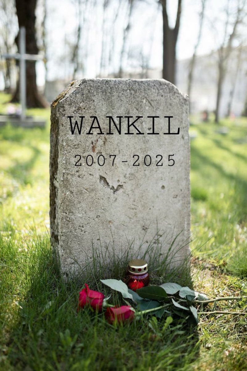 MiaouWallace's tweet image. Journée de deuil pour les Wankil fan 🕊️