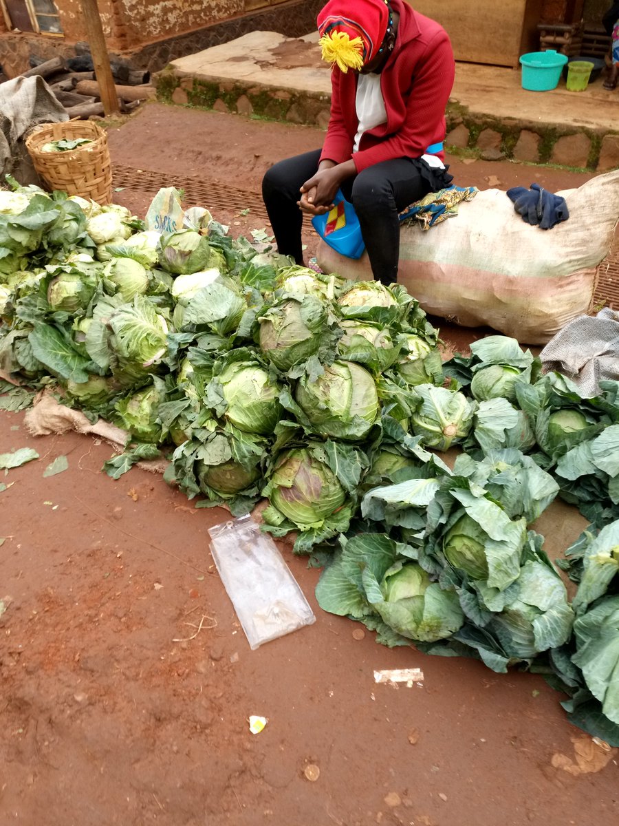 FOOD WASTE ALERT! 🌍 Did you know that in Sub-Saharan Africa, so much of what farmers grow is lost after harvest? 😞 A big reason is producing crops without a guaranteed buyer and marketing without proper protection,farm to market roads. Exposing produce directly to the elements
