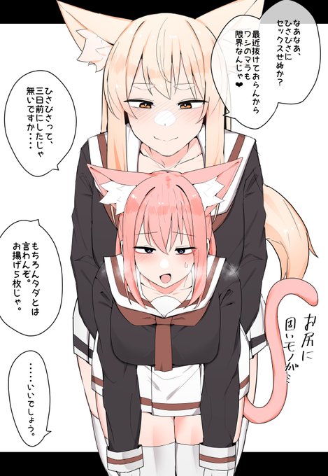 まろ狐に襲われた猫の話
(1/3) 