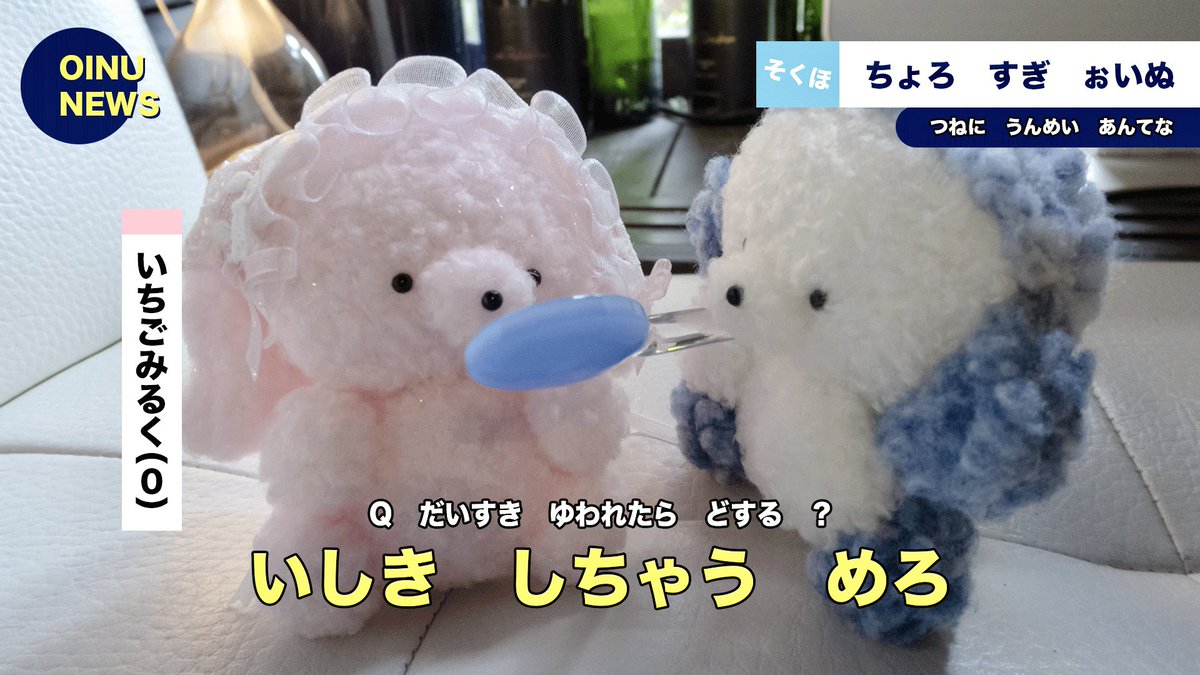 じょせまるマスコット　まるころ じょせまる の マスコットがプライズで登場！ ＼ じょせまる