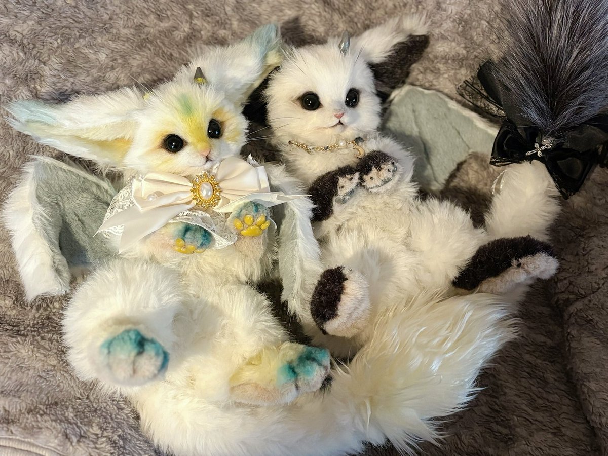 あにゃ@あにゃまるず (@macaronoxou) / Posts / X