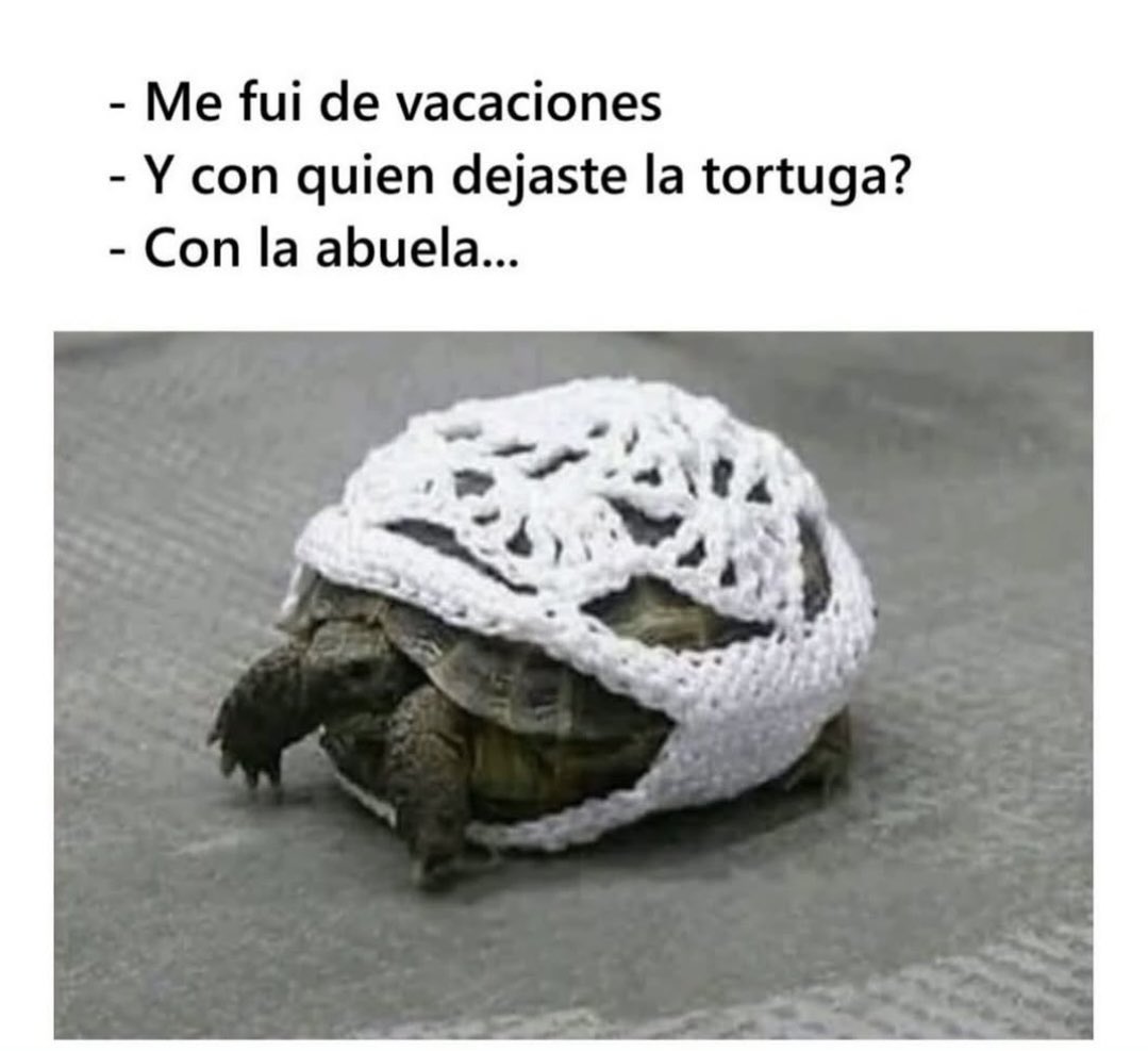 ¡En las mejores manos ! 🤭

¡Feliz Martes! 🐾 #patasarriba

<a href="/canalsur/">CanalSur</a> <a href="/canalsurmas/">CanalSur Más</a> <a href="/LapaCreativa/">Lapa_creativa</a>