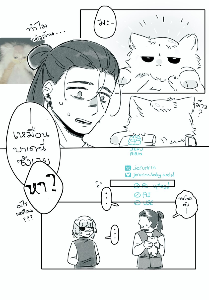 #โอคุบาเด กับแมวหัวล้าน (เอาฟิลเตอร์ออกจากหัวไม่ได้)