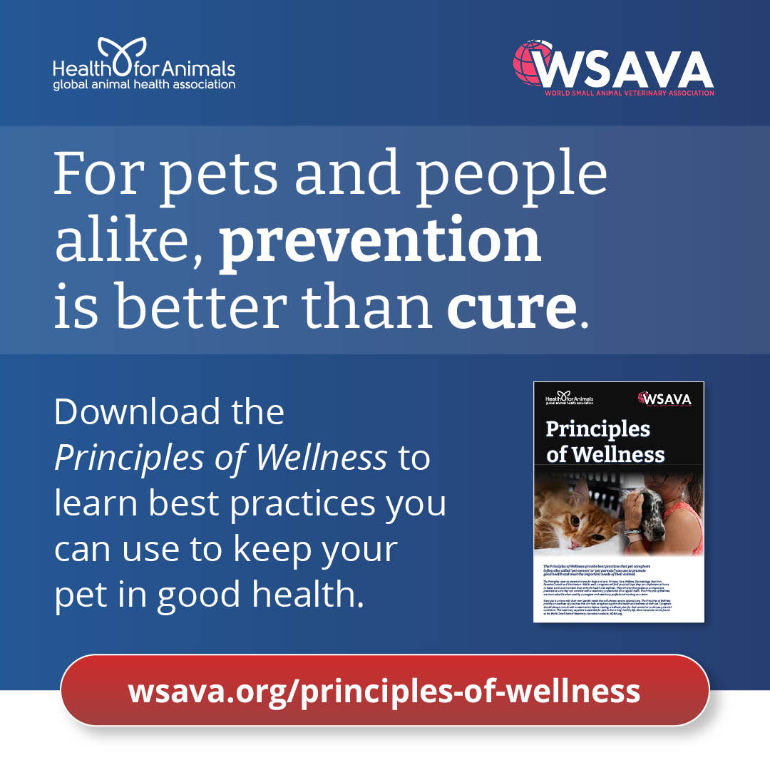 📣 Just launched!

The Principles of Wellness are here — a global guide to support preventive care conversations in vet clinics.

Covering vaccines, nutrition, parasites &amp; more — it’s built to ensure pets are receiving ideal care.

Download now: wsava.org/Principles-Of-…