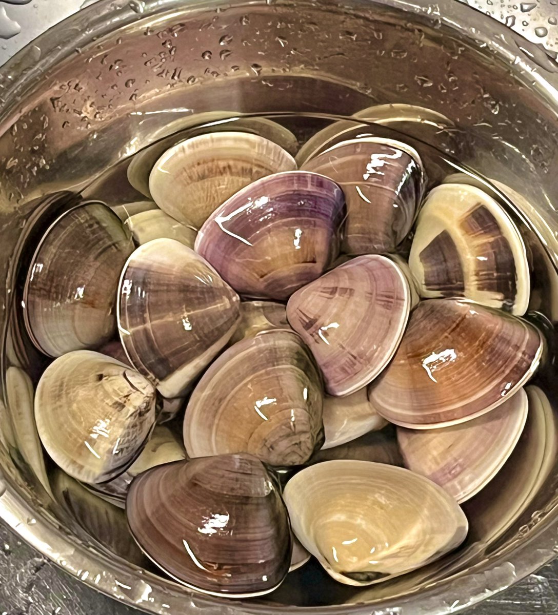 『蛤の酒蒸し🍶』千葉県産

　今が旬。ぷりっぷり美味しい😋

お手頃価格♪この大きさの蛤、10年ぐらい前だったら3倍強のお値段していたはず

漁獲量復活したんだね
関係者の皆様ありがとうございます😊

#おうちごはん #千葉県産 #蛤 #はまぐり
#酒の肴 #お腹ペコリン部 
#料理好きな人と繋がりたい