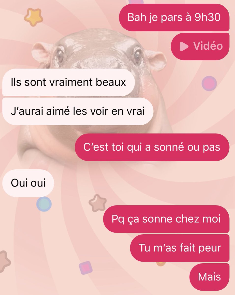 chloebrts's tweet image. Je lui ai juste montré mes cheveux ce matin 
#capable