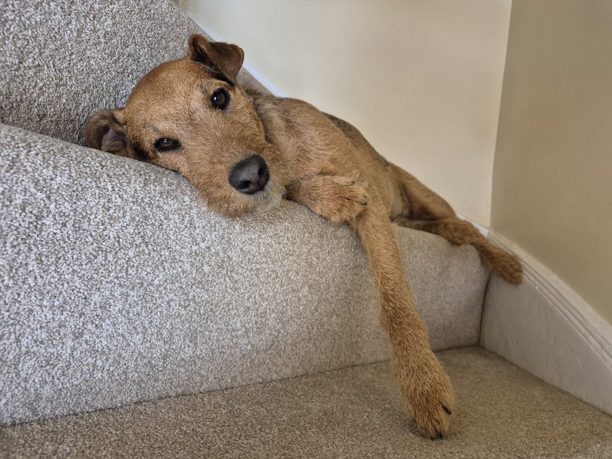 Filbert Lakeland tweet media