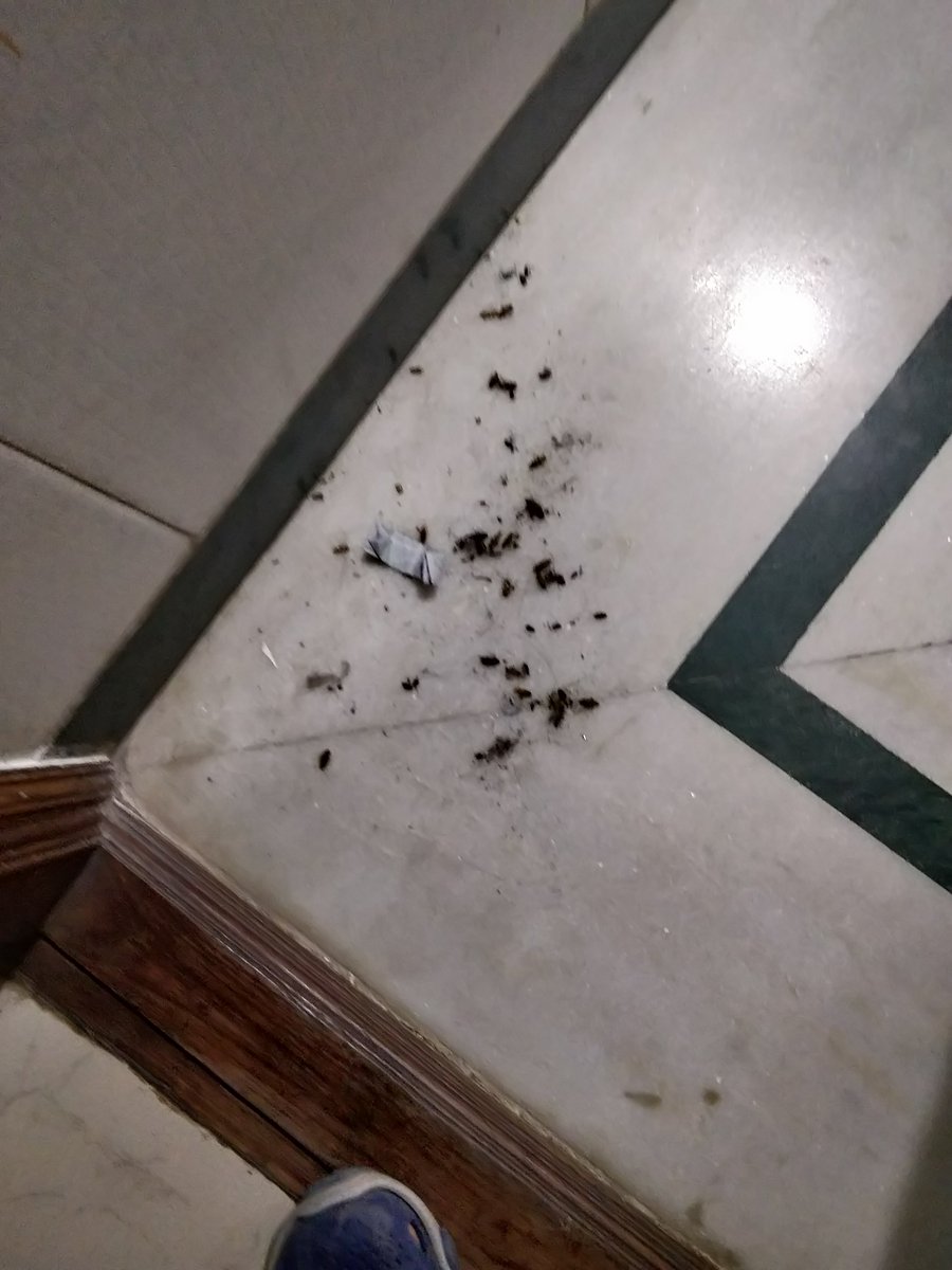 deepankerkaul's tweet photo. 🚨 Thinking of renting in #Bengaluru Think again.
My 18-month nightmare with @Settl_living (account no longer available) with months of inhumane conditions, left me homeless, and battling for my deposit.
Here’s my story of roaches, power cuts, and broken promises.🧵 #Settl https://t.co/keAGID8XbA