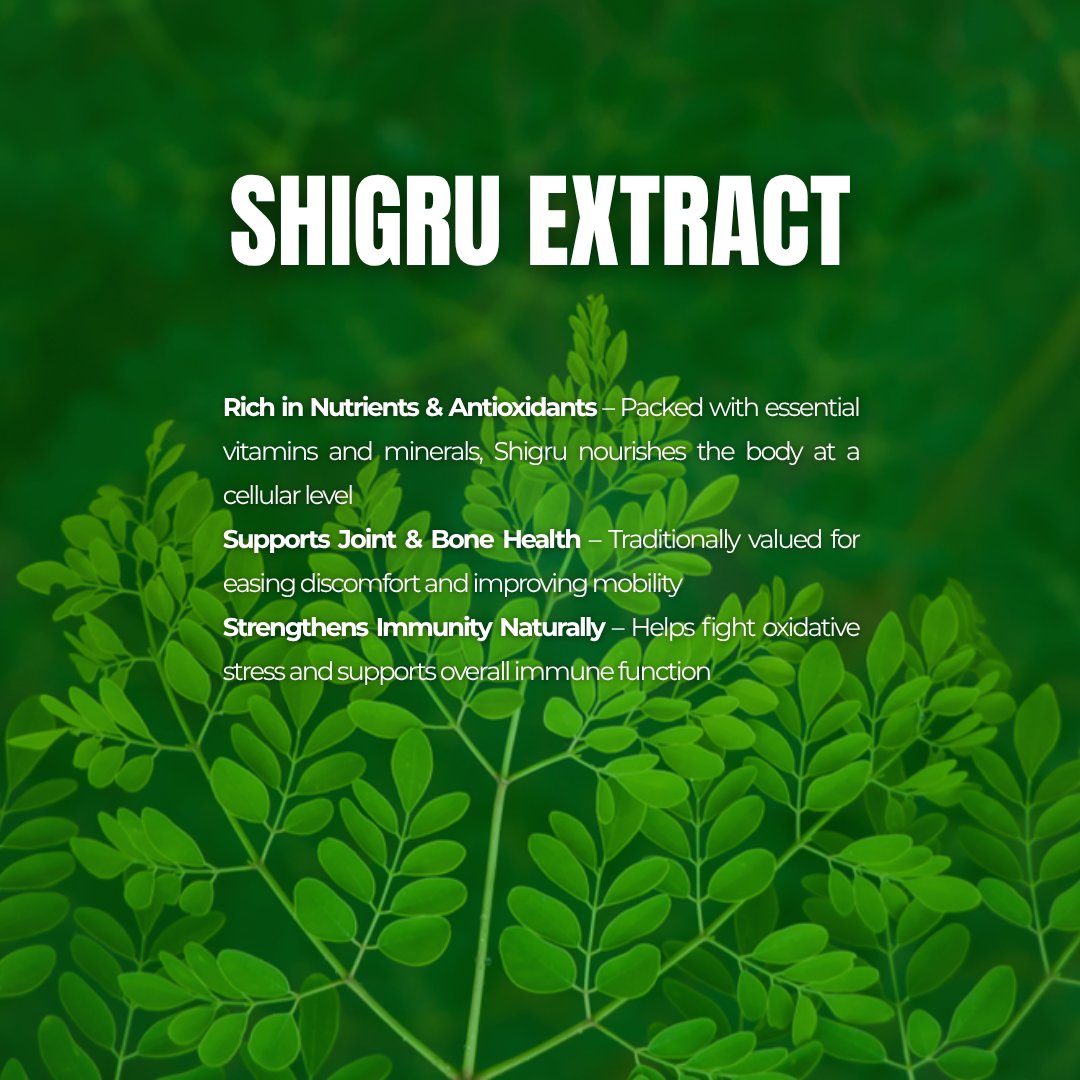 immunokris's tweet image. Introducing Shigru Extract — the green powerhouse at the core of Immunokris, known in Ayurveda as the “Miracle Tree” for its nourishing, healing, and strengthening benefits.

Your Body Deserves Nature’s Most Complete Nutrient Shield.

#Immunokris #ayurvedicmedicine #ShigruExtract
