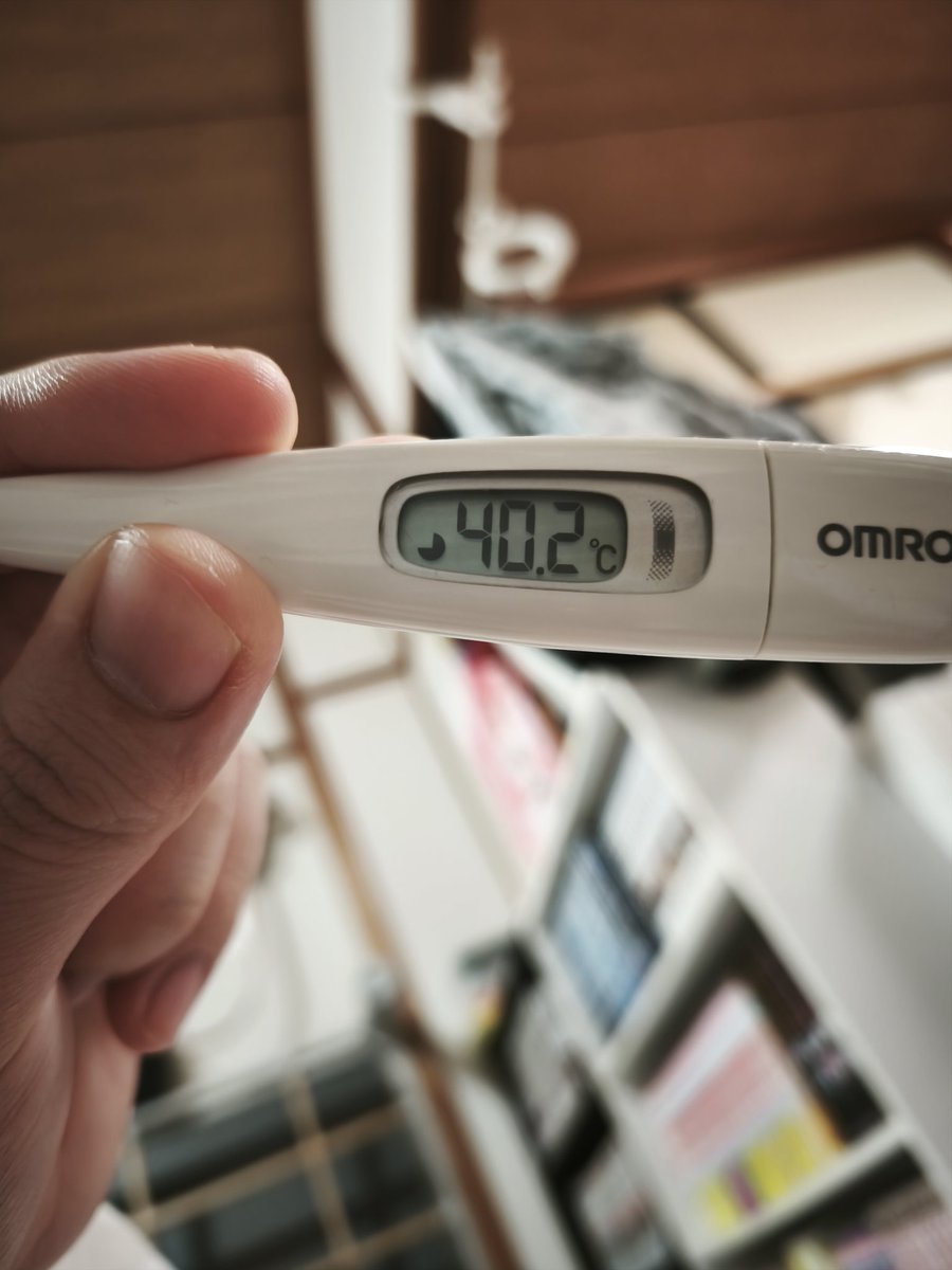 うわぁ、スト6のアプデ楽しみすぎて微熱出ちゃったわ