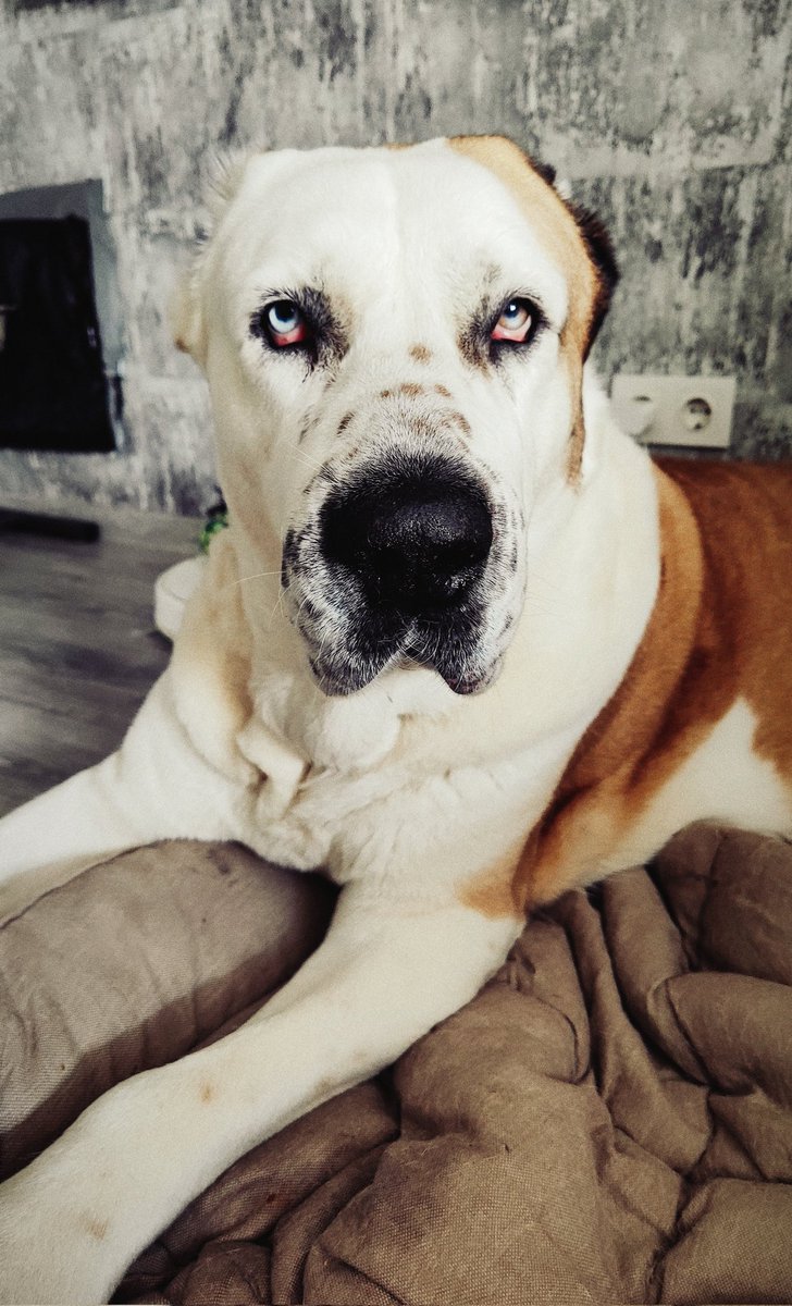 В смысле ты сегодня удаленно?