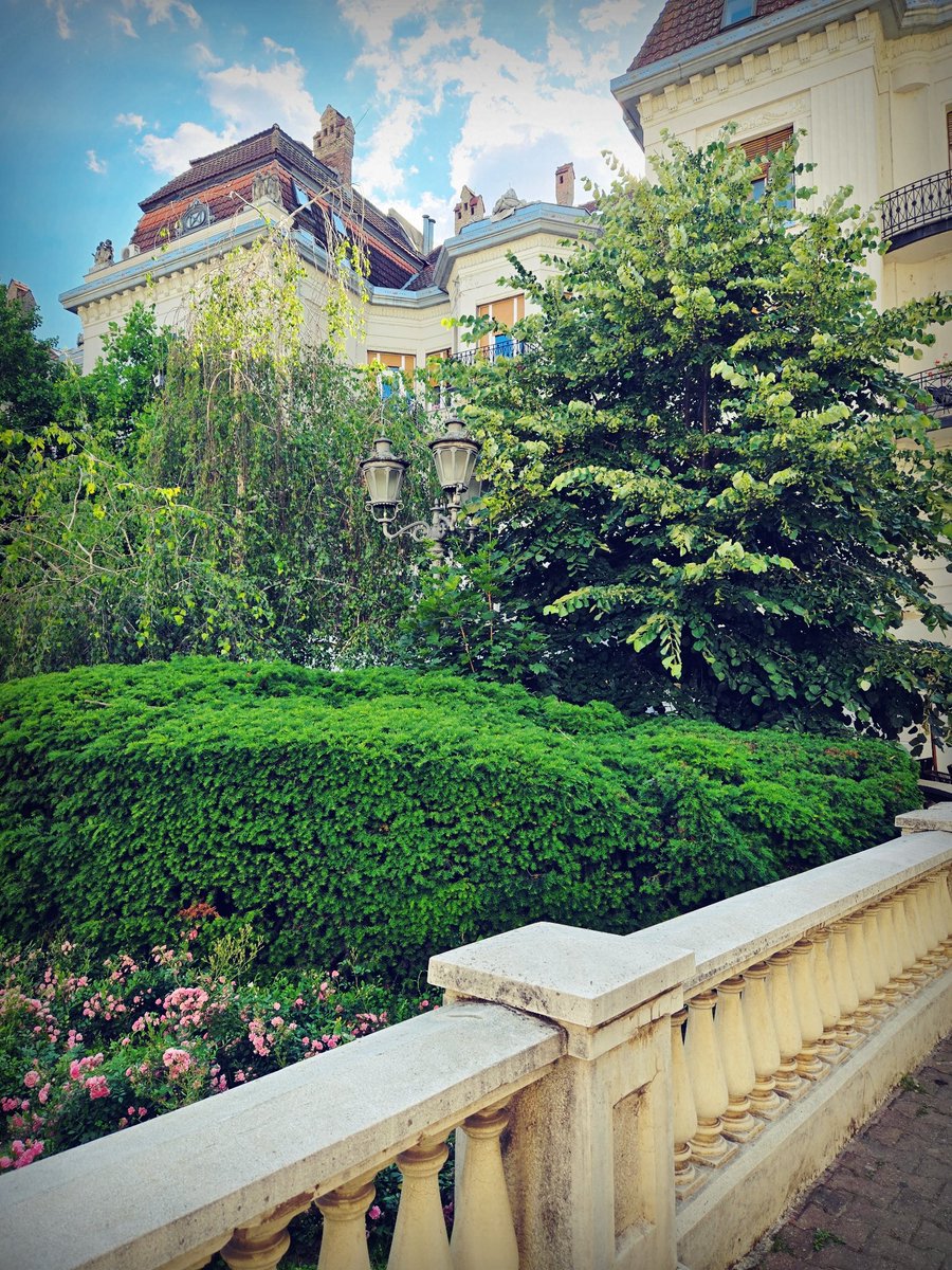 Kako je lep Novi Sad 💚