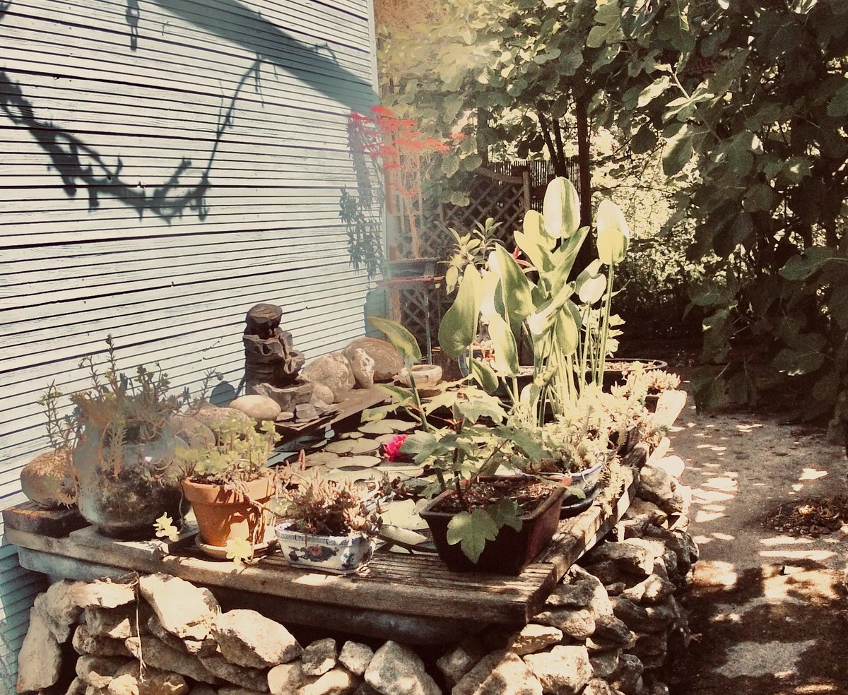 F1HTH's tweet image. Le bassin des poissons