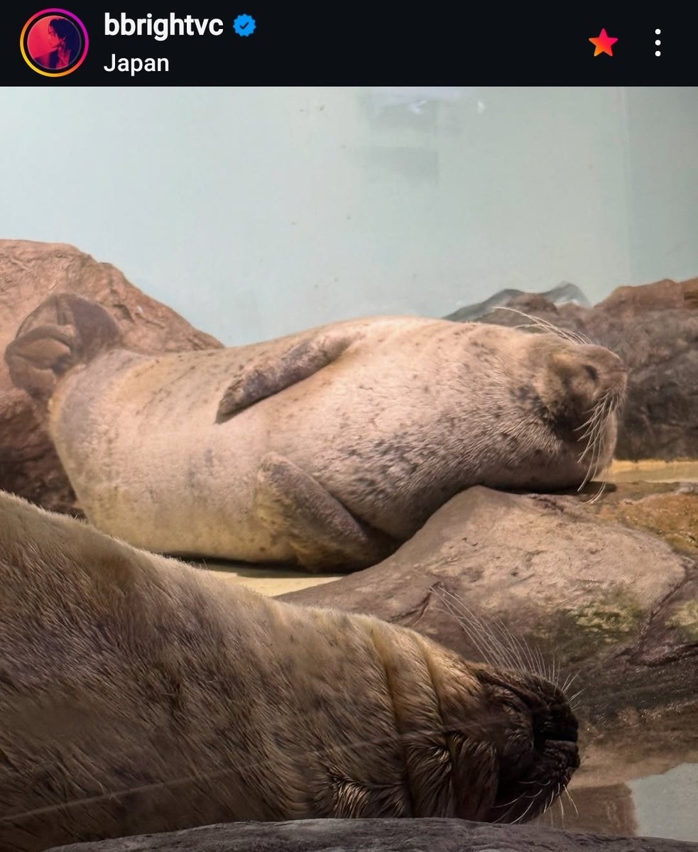 เขิลจุง น้อนไบร์ทแอบถ่ายพี่ตอนนอนกลิ้งมาลงไอจีด๊วยยย 🫣

#bbrightvc <a href="/bbrightvc/">bright</a>