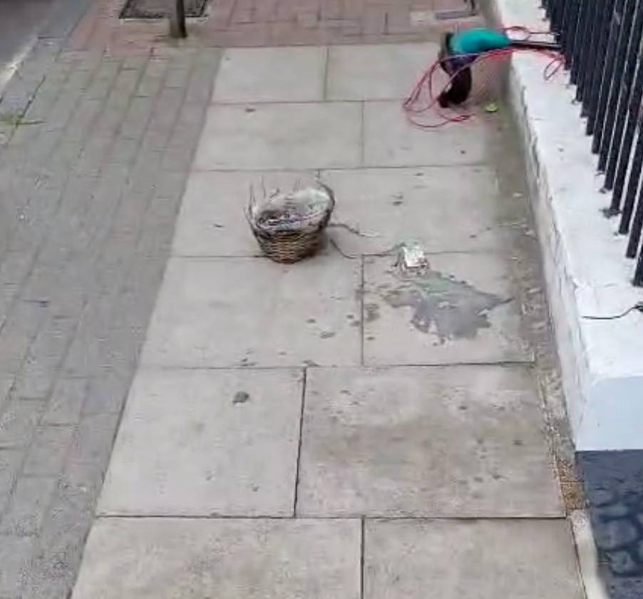 Josh Hughes (@joshhughesld) on Twitter photo Good morning <a href="/WBC_Help/">WBC Customer Service</a> - please could you remove this fly-tip near 49 Disraeli Rd, SW15? #Putney Good morning <a href="/WBC_Help/">WBC Customer Service</a> - please could you remove this fly-tip near 49 Disraeli Rd, SW15? #Putney