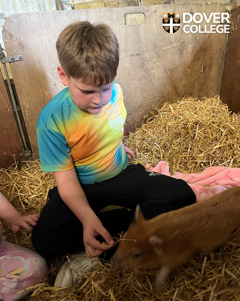 Dover College tweet media