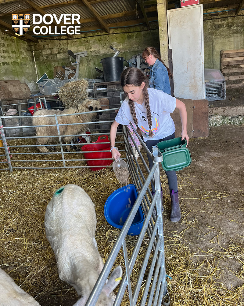 Dover College tweet media