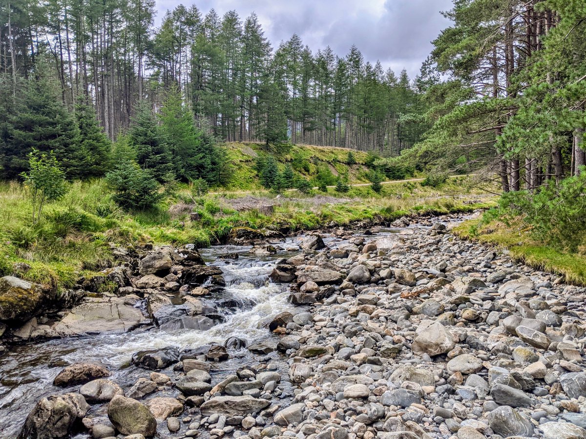 The beautiful Corrie Fee National Nature Reserve within the Cairngorms National Park at Glen Clova in Angus. #TuesdayViewsDay 📷