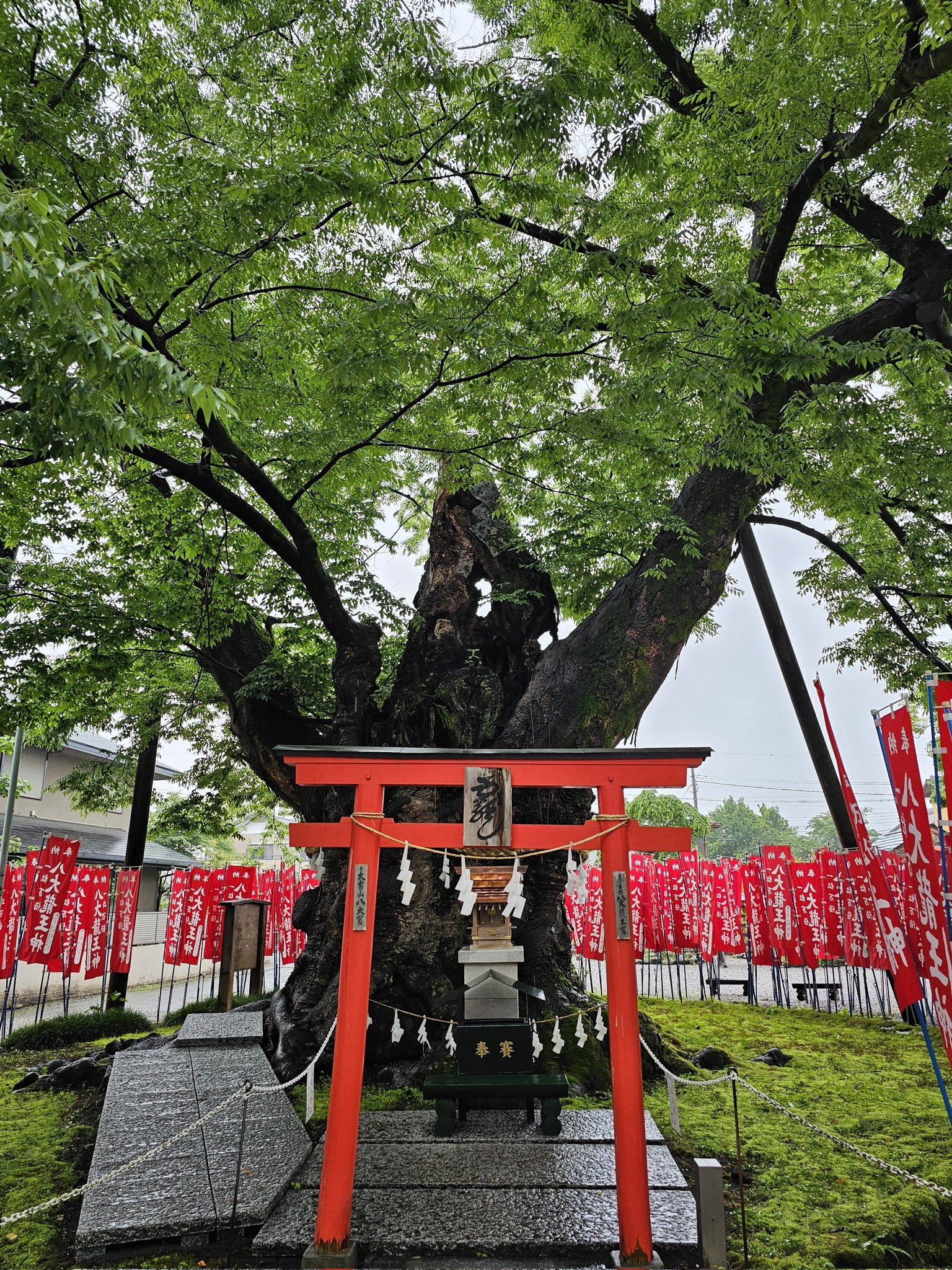 秩父今宮神社（八大龍王宮） (@imamiyajinja) / X