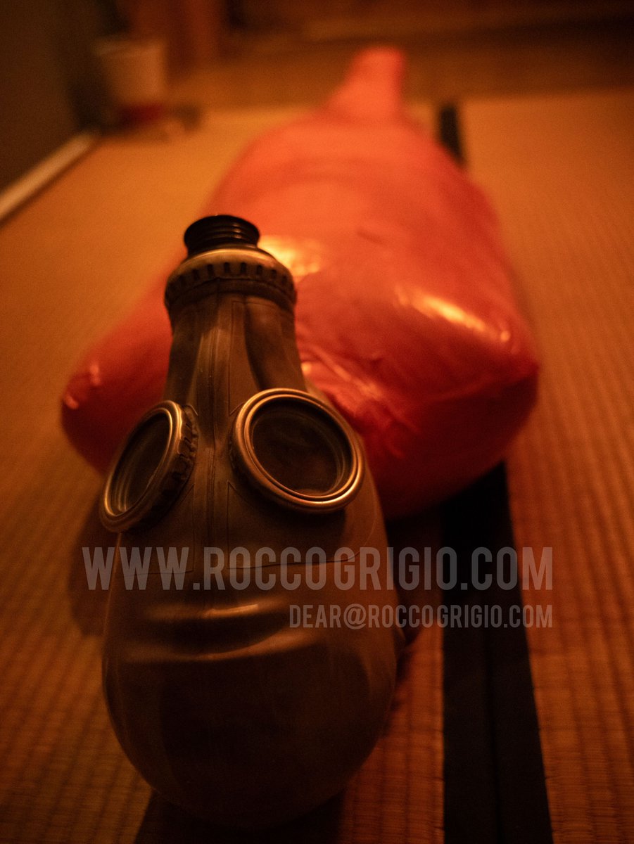 Rocco Grigio | ProDom | Educator (@roccogrigio) on Twitter photo Fancy being mummified?
20% off mummification sessions for the curious. I've got availability tomorrow.
Book at dear@roccogrigio.com Fancy being mummified?
20% off mummification sessions for the curious. I've got availability tomorrow.
Book at dear@roccogrigio.com