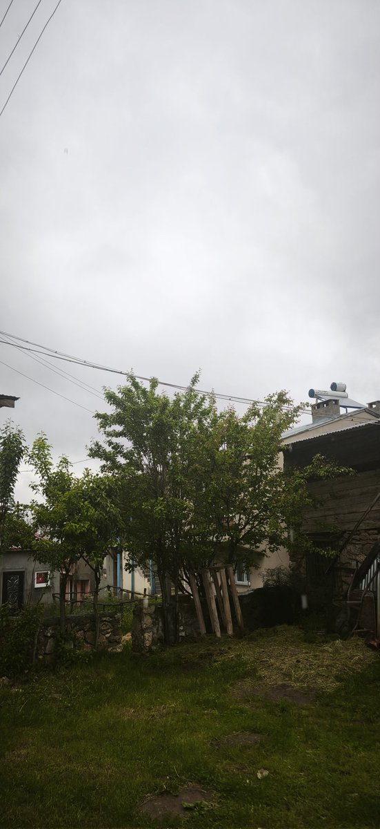 Şu havanın kasvetine, muhteşemliğine bakar mısınız? 😌