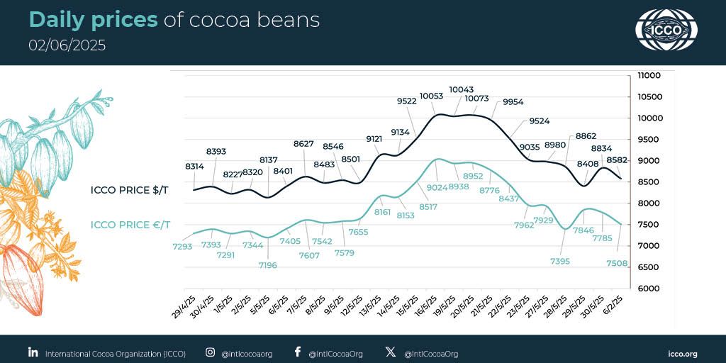 International Cocoa Organization (ICCO) (@intlcocoaorg) on Twitter photo 🔴 02/06/2025 #Cocoa Daily Prices - Prix du jour - Precios diarios - Ежедневные цены
 
💵 ICCO daily price - 8581.87 $/T
💶 ICCO daily price - 7507.85 €/T
 
More #cocoa statistical info in our webpage 🔗 buff.ly/lKFtzFk
#ICCOCocoaHub #ICCOCocoaData #ICCOCocoaKnowledge 🔴 02/06/2025 #Cocoa Daily Prices - Prix du jour - Precios diarios - Ежедневные цены
 
💵 ICCO daily price - 8581.87 $/T
💶 ICCO daily price - 7507.85 €/T
 
More #cocoa statistical info in our webpage 🔗 buff.ly/lKFtzFk
#ICCOCocoaHub #ICCOCocoaData #ICCOCocoaKnowledge