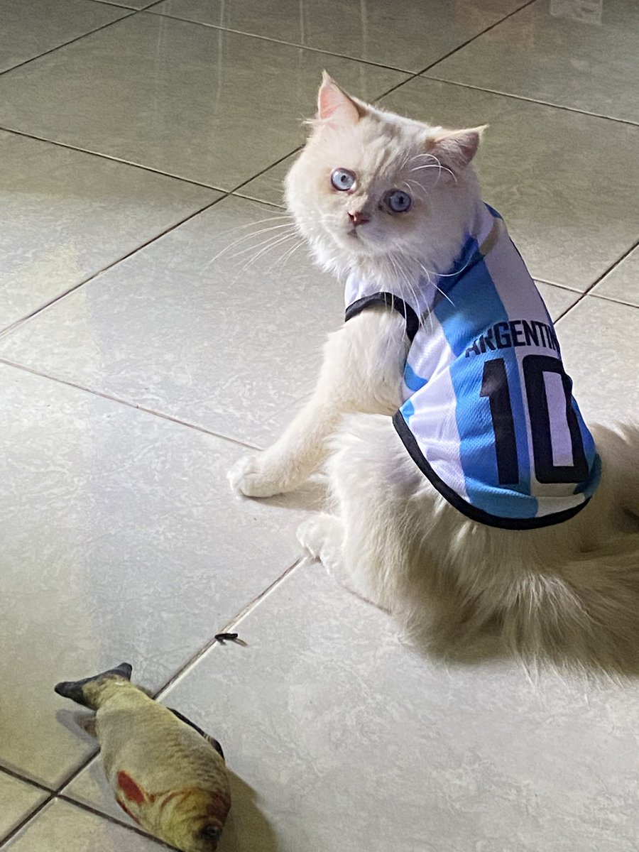 Guyss doain aku yah, aku hari kamis sidang skripsi😊 semoga dipermudah dan diberikan kelancaran, Aamiin ya Allah🙏🏻

pict utih sebagai pemanis krn dia yg temenin aku skripsian✌🏻