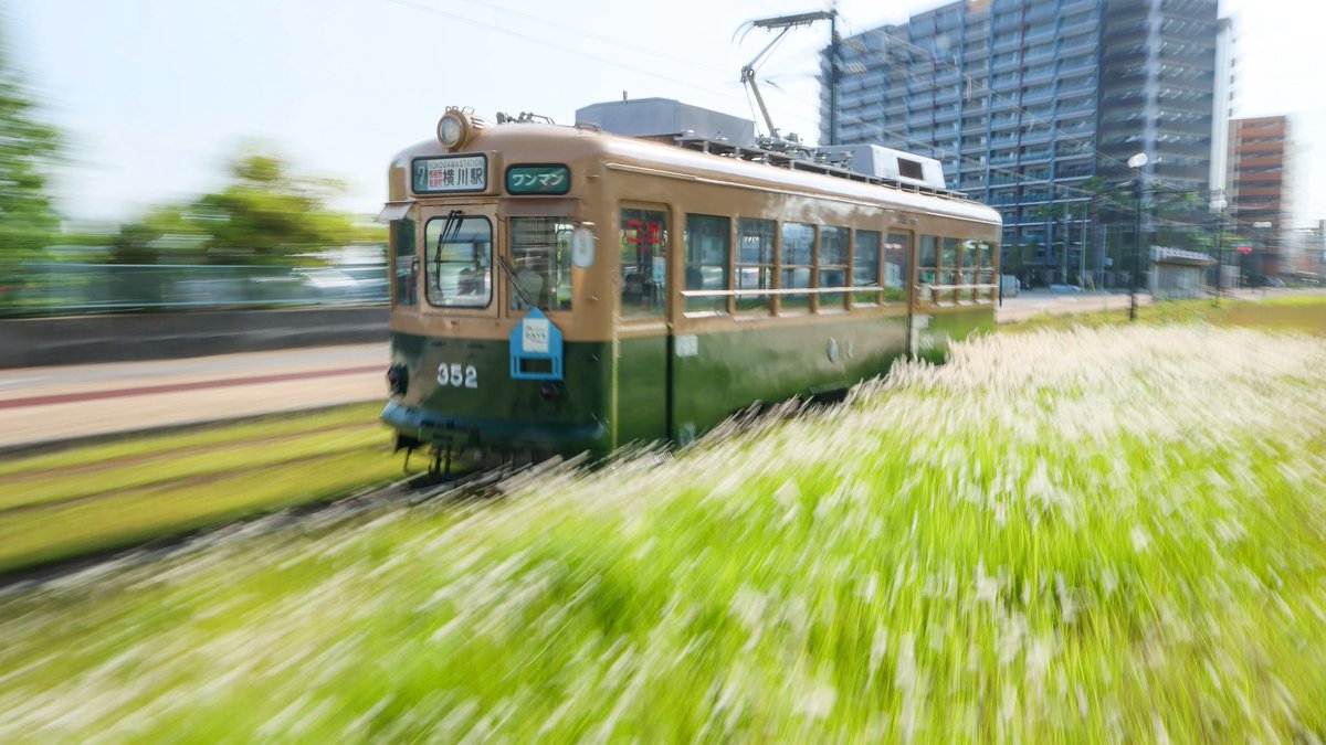 P276163581's tweet photo. ズム流

その者　翠き衣を身に纏いて　千萱の野に　降り立つべし

本当は前のカットの方が写りが良かったんだけどw https://t.co/jN2IgoMbyN
