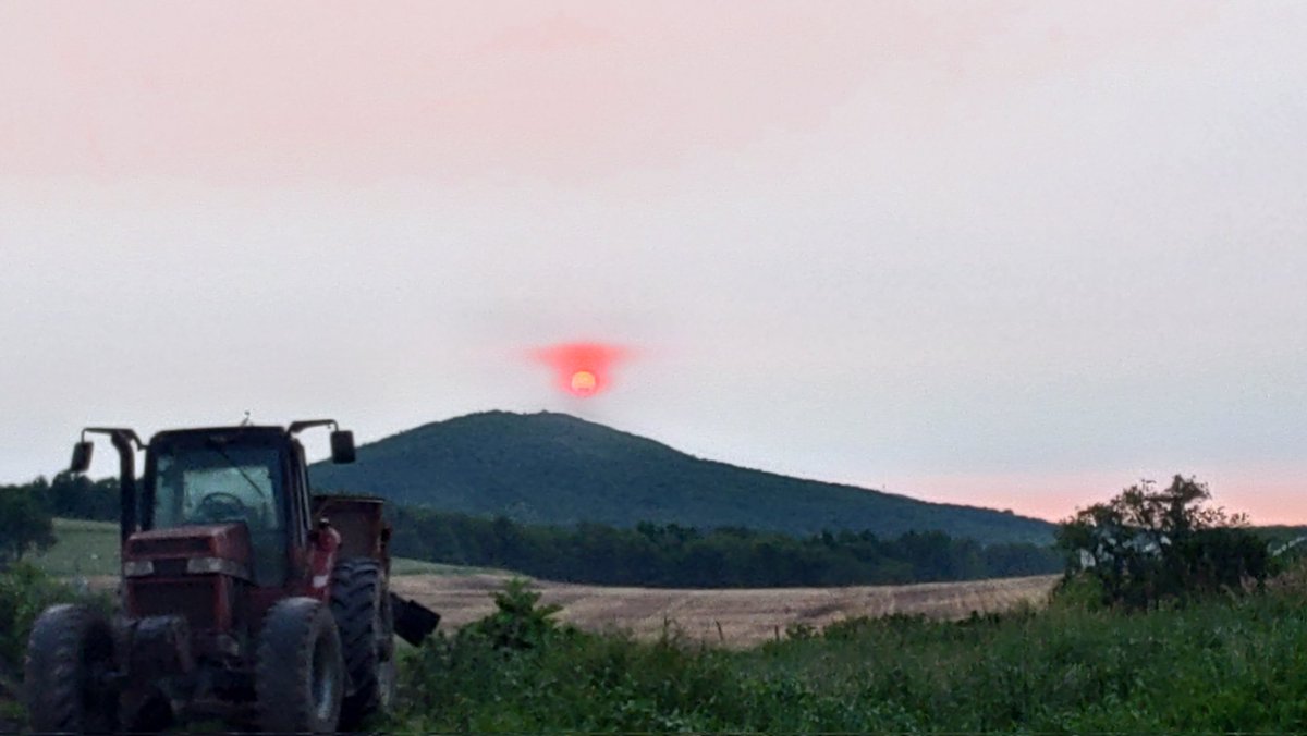 George Shook tweet media