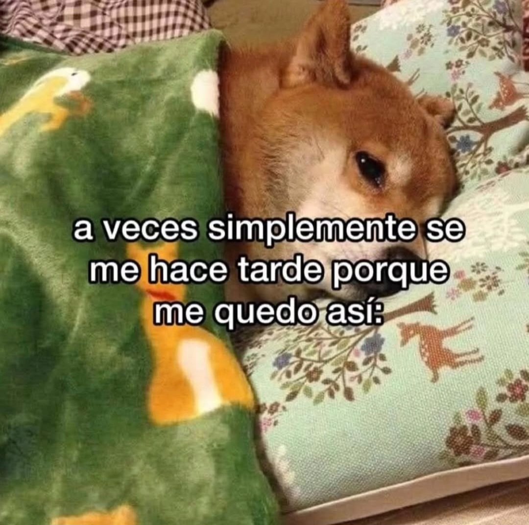 En Júpiter (@en_jupiter_) on Twitter photo 