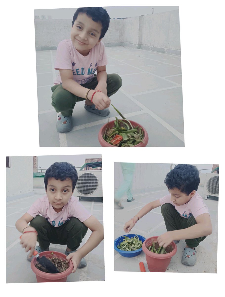 simransehra53's tweet photo. Young Eco-Heroes in Action! 🌱 Class 2 students turn kitchen waste into rich manure, learning sustainability right from home. #EcoFriendly #YoungChangemakers #ManureMaking #SustainabilityStartsYoung  @vividh87 @BBPSMV @Dir_Education @cbseindia29 https://t.co/pGUT3TXEOl