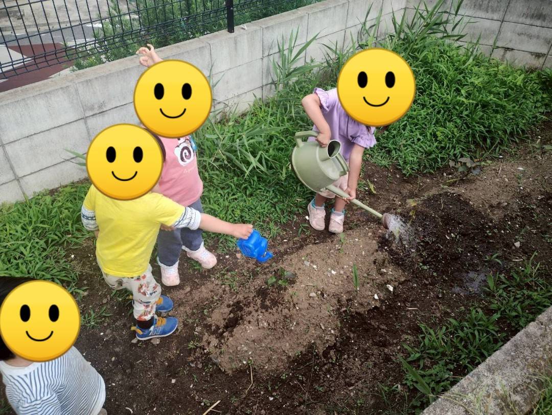 clc_vegetable's tweet photo. 2025.6.2
子どもたちが、さつまいもに水をあげてくれました〜☺️
#教会の畑
#さつまいも
#千葉愛の教会 https://t.co/oexTXqiIss