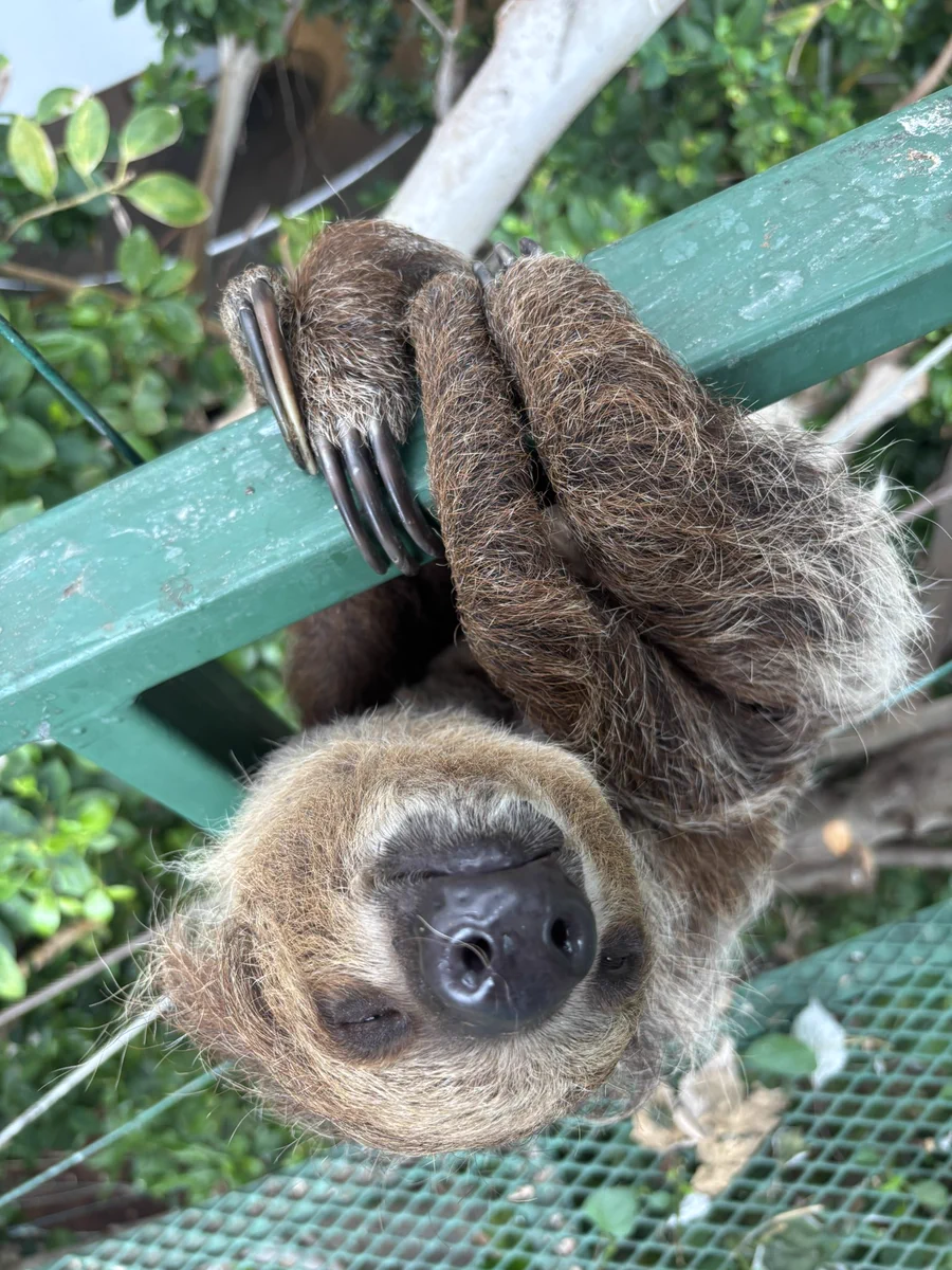 千葉市動物公園【公式】 on X: 