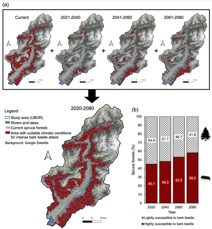 Plants_MDPI's tweet photo. 🆕 New research published!
📖 "Ecology, Floristic–Vegetational Features, and Future Perspectives of Spruce Forests Affected by Ips typographus: Insight from the Southern Alps"
✍️ Luca Giupponi et al.
🔗 https://t.co/1IdbBMJPH9
#ForestEcology #BarkBeetle #ClimateChange https://t.co/IRCpjbKv1Y