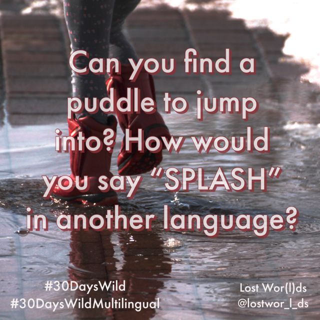 Day 3 #30dayswildmultilingual - Is it raining? Talk about the weather in different languages, and if you can find a puddle, jump in it and share what sound it makes across the world! #30dayswild