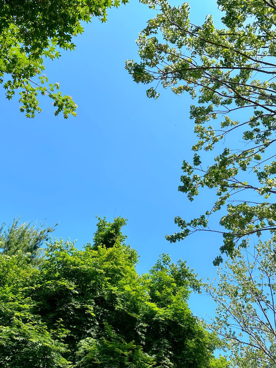 함께 외출한 김에 인증샷 찍고 산책중 ☕️🏝️🥥