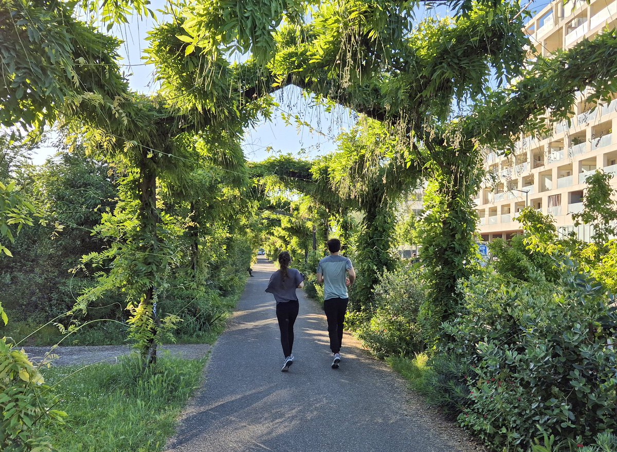 NandaSluijsmans's tweet image. In Bordeaux zijn er volop #pergola's🌿 in de parken en in straten. Koele tunnels voor op hete dagen.☀️ En zeer fraai!
#hittestress #klimplanten