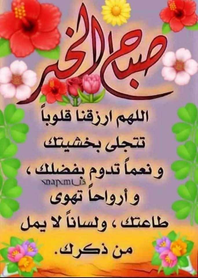 صباح الخير
اللهم ردنا اليك ردا جميلا