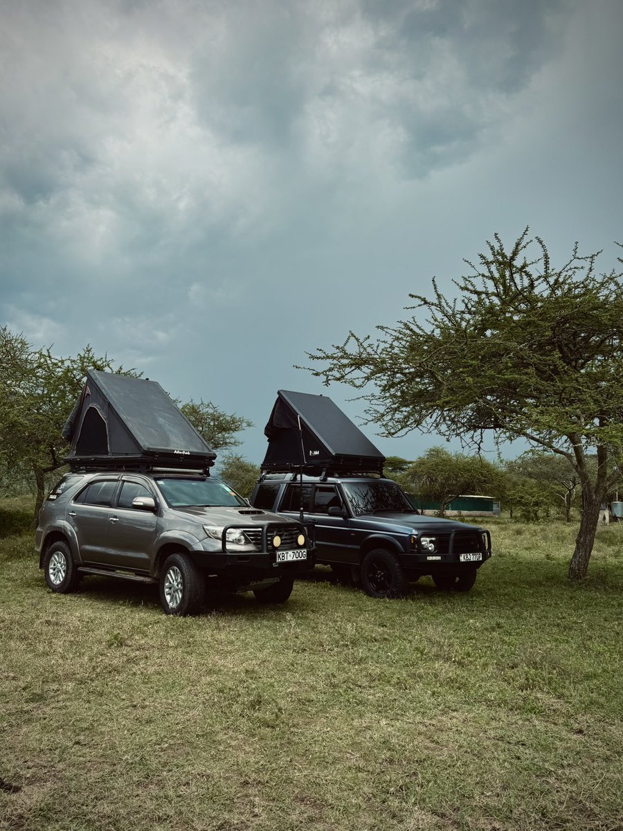 Beautiful cars.