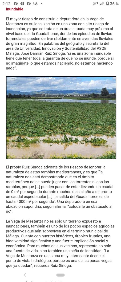 DvsOlga's tweet photo. 🗣️📢 Carmen Mestanza lleva años luchando para evitar la tala de 20.000 árboles de cítricos para la depuradora de Moreno Bonilla 🤔 que teniendo más opciones la va a construir en zona inundable.⬇️#Ecocidio 
 #SalvarVegaMestanza
https://t.co/TC6IgvfXKN https://t.co/RvZ7OPaWQN