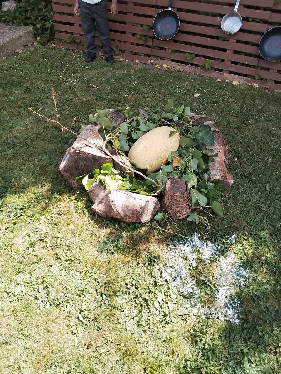 Reception have taken a trip back to the prehistoric period and met two baby dinosaurs! We then became palaeontologists and uncovered fossils.