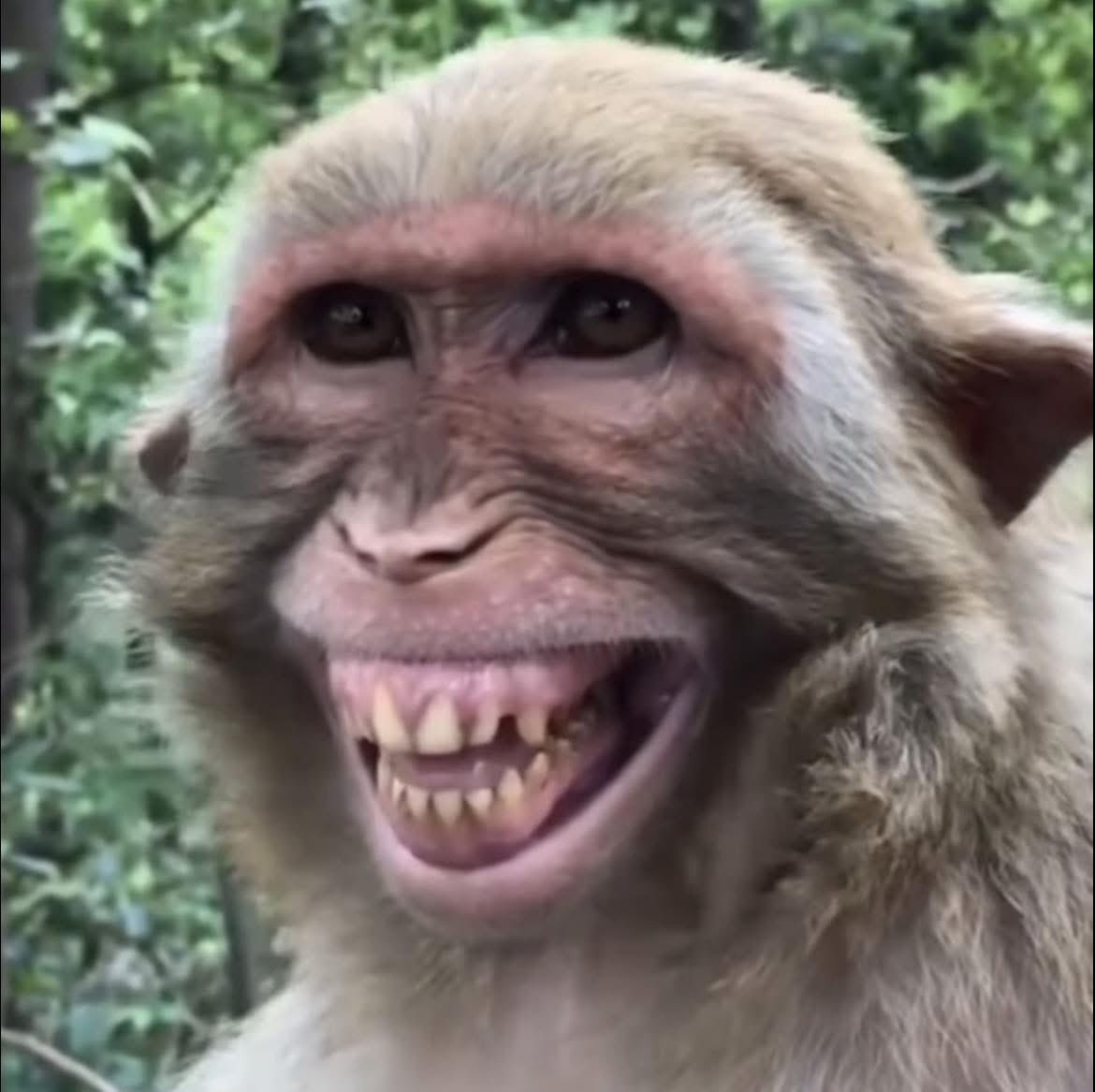 Dada mambo hubadilika.,Usije Shangaa aliekuahidi atakuoa Kaolewa Yeye.😂😂