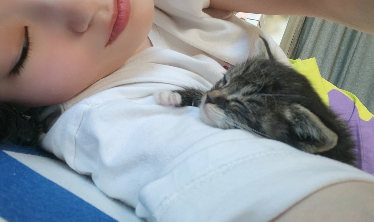 뽈뽈뽈 돌아다니다가 여기와서 
이러고 내 눈을 한참 빤히 보다가 잠드는데...
어떡하니 정말...