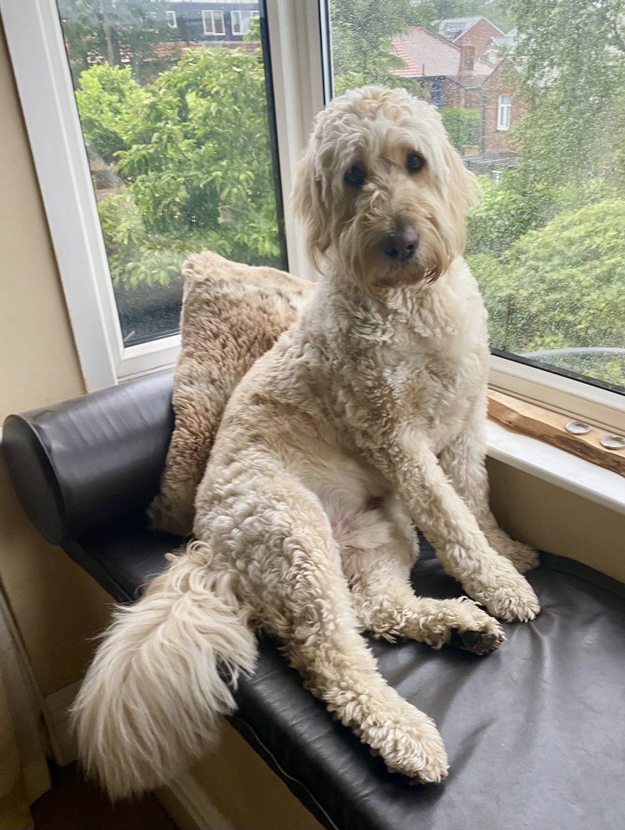 Good morning. Currently sat, watching the rain out there. Something tells me I’m gonna be filthy today in this, which I don’t mind. Enjoy whatever life brings you today and stay safe. Massive love 🐾🥰