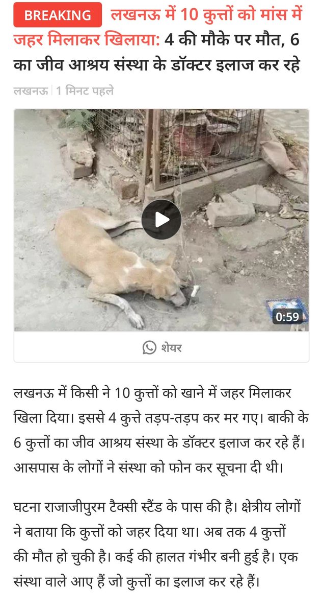 Sanskarjain270's tweet image. लखनऊ में मानवता शर्मसार!
10 बेजुबान कुत्तों को ज़हर मिला मांस खिलाया गया।
4 की मौके पर मौत, 6 की हालत गंभीर है।
यह घटना लखनऊ के जानकीपुरम टैक्सी स्टैंड के पास की है।
इंसानियत किस दिशा में जा रही है?

#AnimalCruelty #lucknow #JusticeForDogs