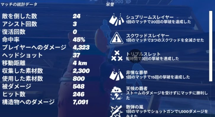 ガチガチじゃなくてエンジョイスキン？ガフ使ってノラスク🙄割と倒せた🤔